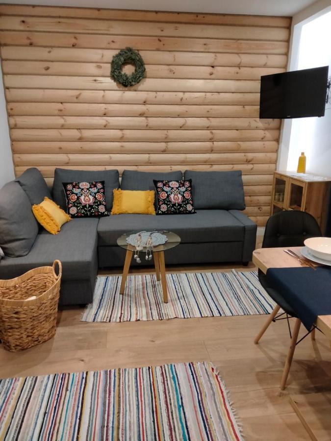 Anielki Apartament Zakopane Dış mekan fotoğraf